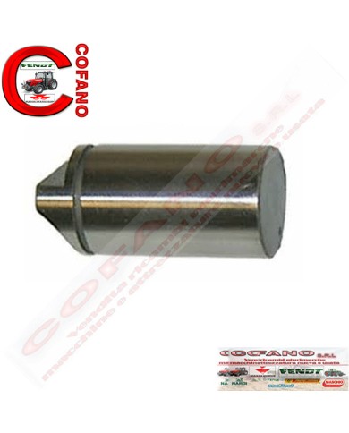 Perno pompa idraulica Massey Ferguson serie 200 500 1004