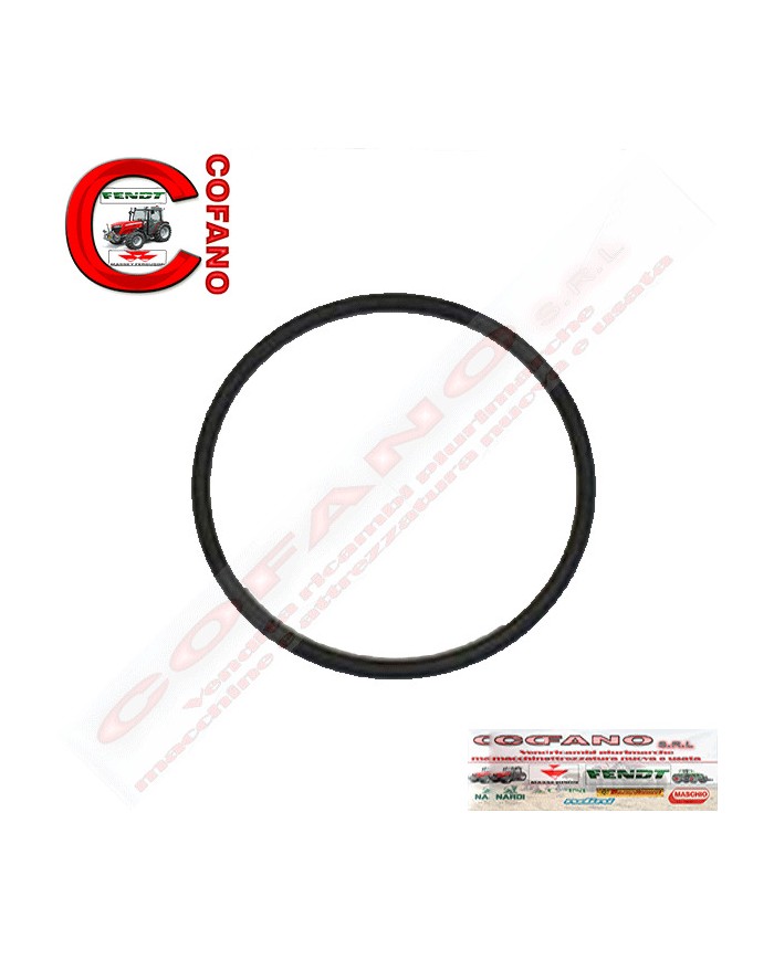 ANELLO TENUTA FILTRO