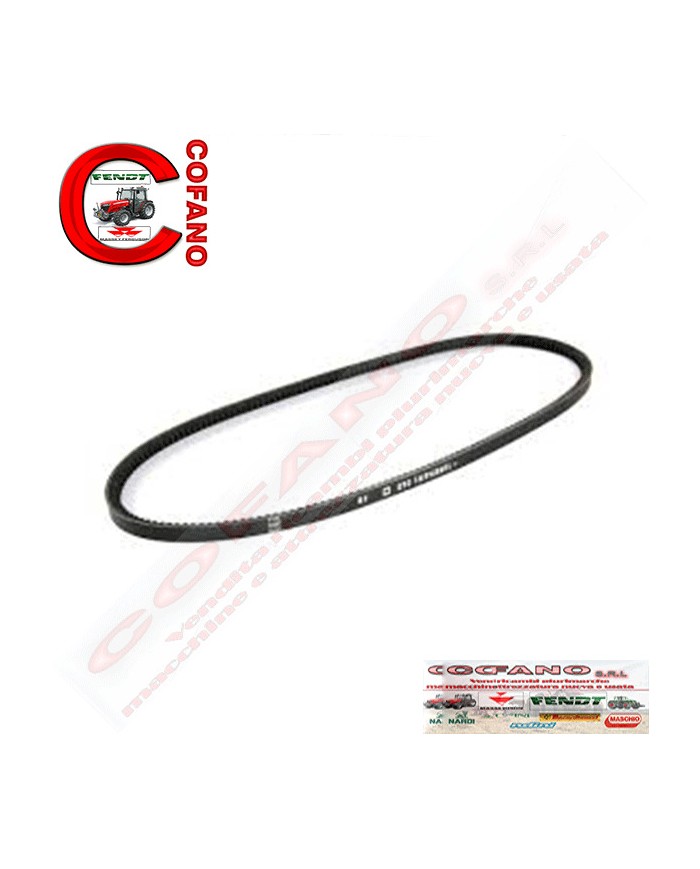 Cinghia Massey Ferguson serie 200-300