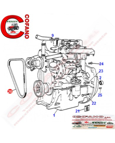 CINGHIA DINAMO MASSEY FERGUSON SERIE 100