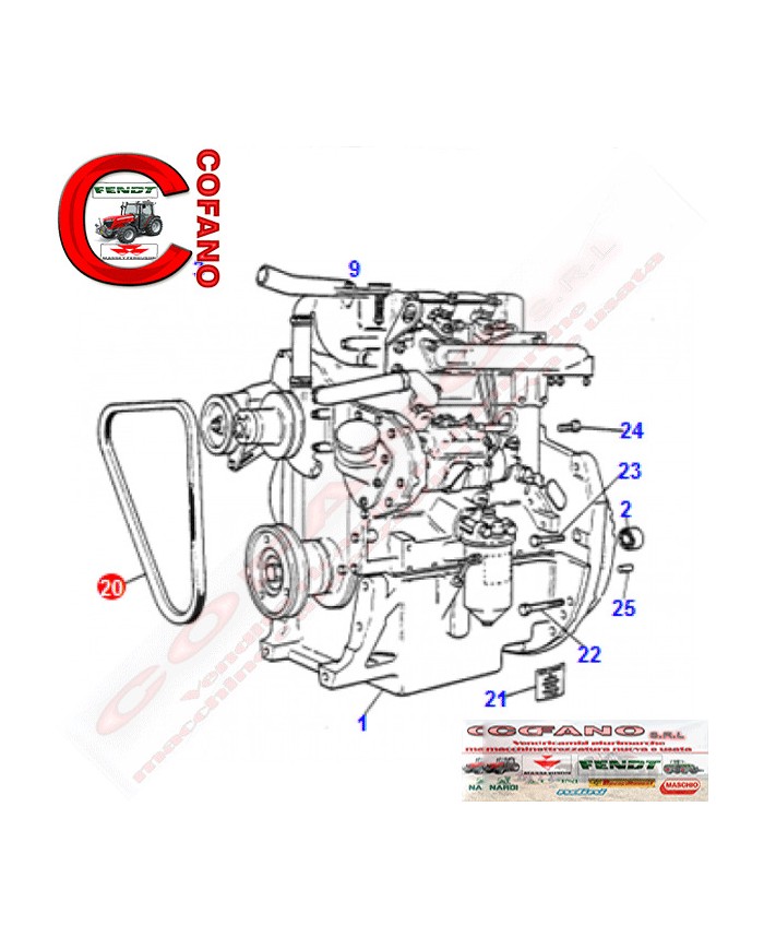 CINGHIA DINAMO MASSEY FERGUSON SERIE 100