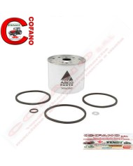 Filtro carburante Massey Ferguson Landini