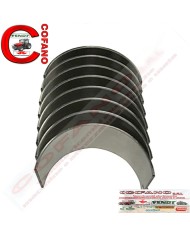 KIT BRONZINE BIELLA MASSEY FERGUSON