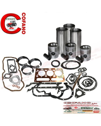 Kit revisione motore perkins ad3.152