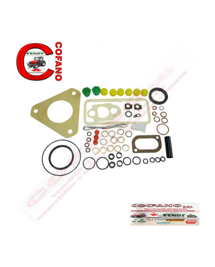 Kit riparazione pompa carburante 3/4 cilindri Massey Ferguson Landini