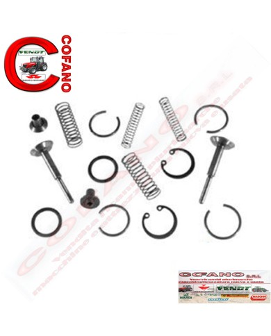 Kit riparazione pompa idraulica Massey Ferguson Kit riparazione pompa idraulica Massey Ferguson