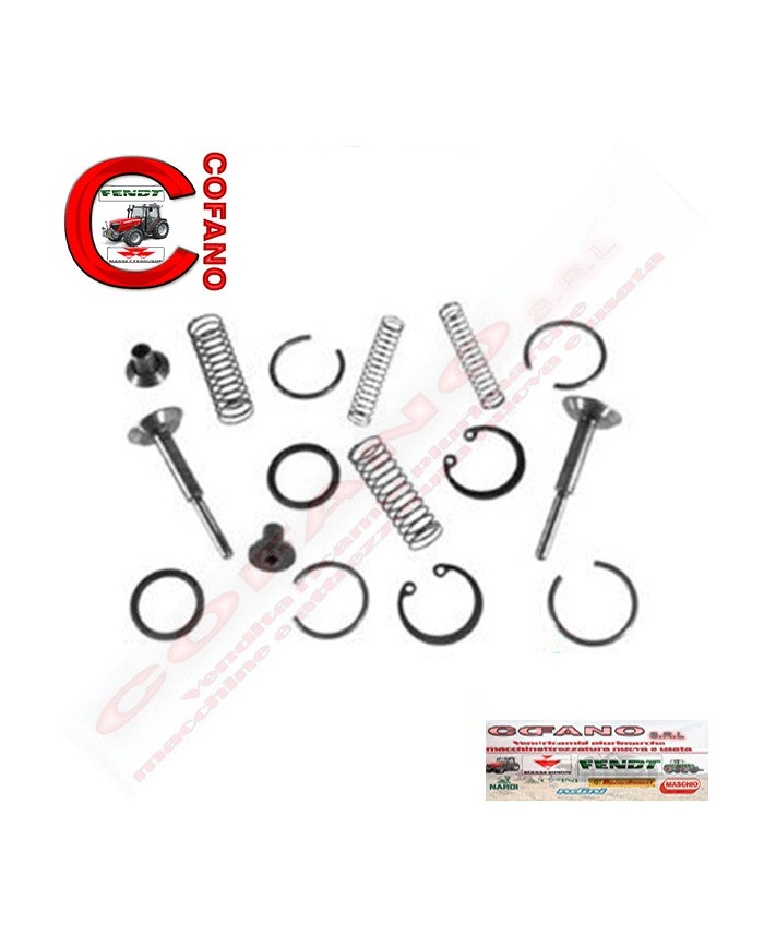 Kit riparazione pompa idraulica Massey Ferguson