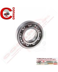 Cuscinetto 6307 (M00557180R) Maschio Gaspardo Cuscinetto 6307 (M00557180R) Maschio Gaspardo