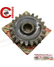 Ingranaggio Z-22 mozzo 45 mm per Frese Maschio Ingranaggio Z-22 mozzo 45 mm per Frese Maschio