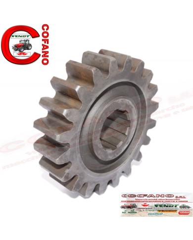 Ingranaggio cambio Z 20 M6 Frese Maschio modello B-C