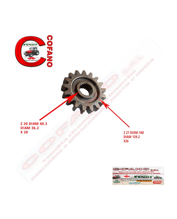 Ingranaggio cambio Z21 frese Maschio