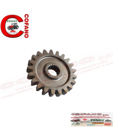 Ingranaggio cambio Z21 frese Maschio