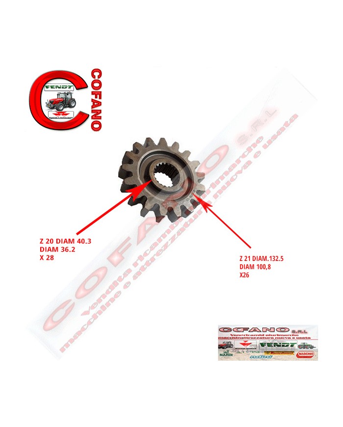 Ingranaggio cambio Z 17 Maschio Gaspardo
