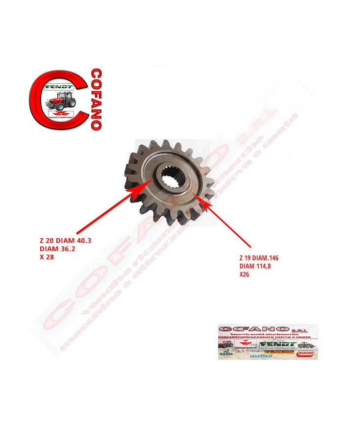 Ingranaggio cambio Z 19 Maschio Gaspardo Ingranaggio cambio Z 19 Maschio Gaspardo