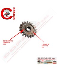 Ingranaggio cambio Z 19 Maschio Gaspardo Ingranaggio cambio Z 19 Maschio Gaspardo