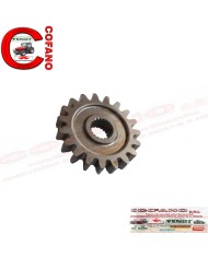 Ingranaggio cambio Z 19 Maschio Gaspardo Ingranaggio cambio Z 19 Maschio Gaspardo