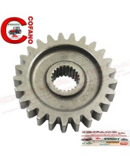 Ingranaggio superiore trasmissione Z 25 Frese modello U Ingranaggio superiore trasmissione Z 25 Frese modello U