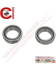 Cuscinetti trasmissione laterale Frese Maschio B-C Cuscinetti trasmissione laterale Frese Maschio B-C