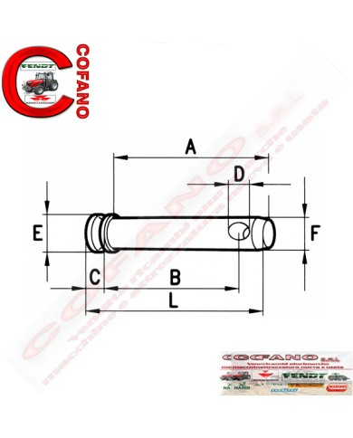 Perno per 3° punto con battuta Lungh. 125 mm Ø esterno 19 mm Perno per 3° punto con battuta Lungh. 125 mm Ø esterno 19 mm