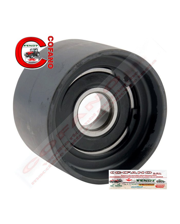 PULEGGIA TENDITORE  MASSEY FERGUSON-FENDT