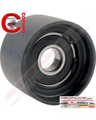 PULEGGIA TENDITORE  MASSEY FERGUSON-FENDT