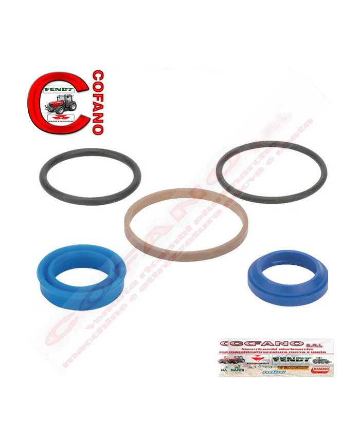 Kit riparo cilindro sterzo Massey Ferguson 300