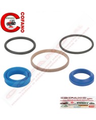 Kit riparo cilindro sterzo Massey Ferguson 300