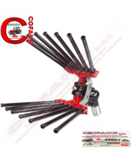 Abbacchiatore Lisam V8 Turbo