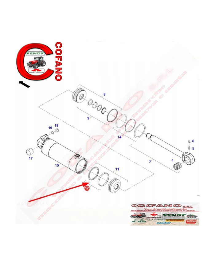 Kit tenuta pistoni sollevatore Massey Ferguson - Fendt