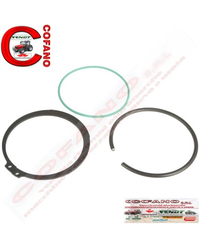 Kit tenuta pistoni sollevatore Massey Ferguson - Fendt