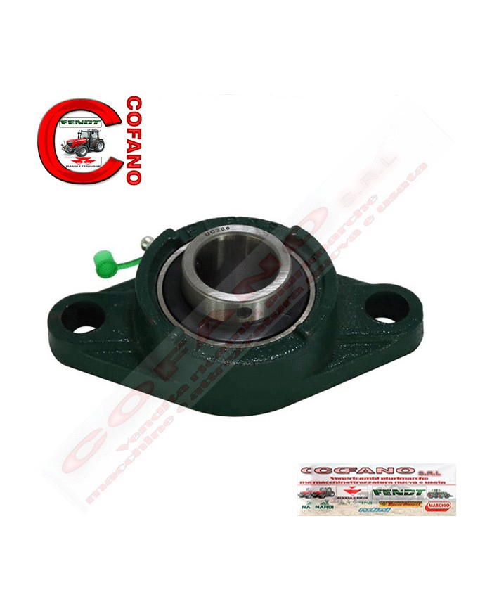 Supporto cuscinetto UCFL 206