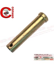 Perno 22x108 mm Cat.0