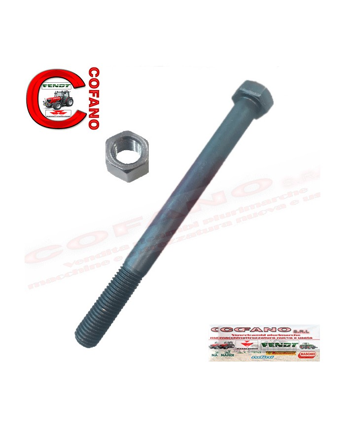 Bullone Vite con  dado Lunghezza 180mm Ø 160mm