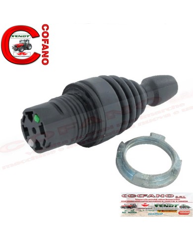 Joystick per 2 posizioni per Berardinucci e Gru