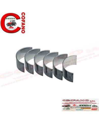 Bronzine di biella Massey Ferguson motori Perkins