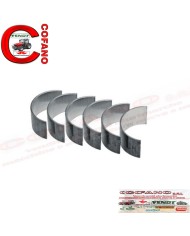 Bronzine di biella Massey Ferguson motori Perkins Bronzine di biella Massey Ferguson motori Perkins