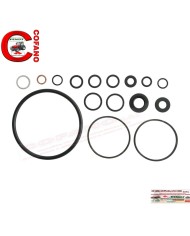 Kit guarnizioni pompa sterzo MF serie 100 200 300 500 600 e Landini