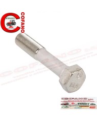 Vite sollevatore idraulico Landini e MF serie 100 200 300 3400