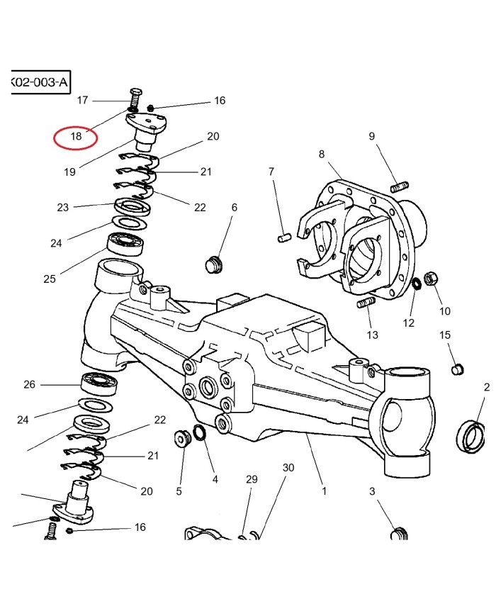 Perno fuso a snodo assale anteriore MF 3400 compatibile SHL-SDF