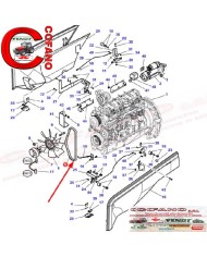 Cinghia 1915 mm per Massey Ferguson serie 8400 Cinghia 1915 mm per Massey Ferguson serie 8400