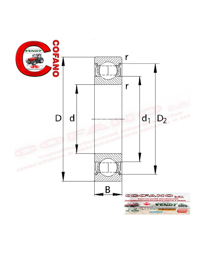 Cuscinetto a Sfere Fag 6211 55 x 100 x 21 mm