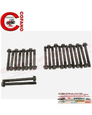 Kit perni testata motore 4 cilindri Perkins A4.248