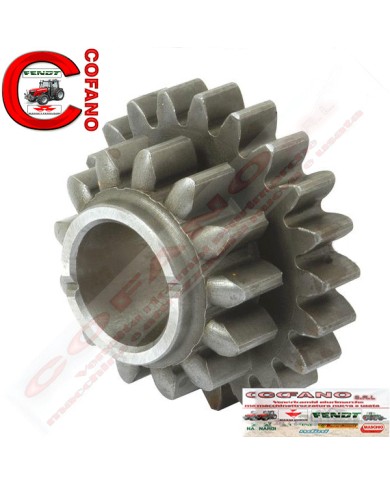 Pignone retromarcia denti 13 - 21 Landini Massey Ferguson