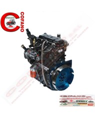 Motore A4.248 Completo Nuovo Motore A4.248 Completo Nuovo