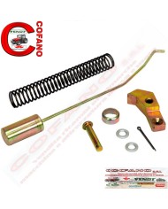 Kit riparo freno Massey Ferguson serie 1000/100/200
