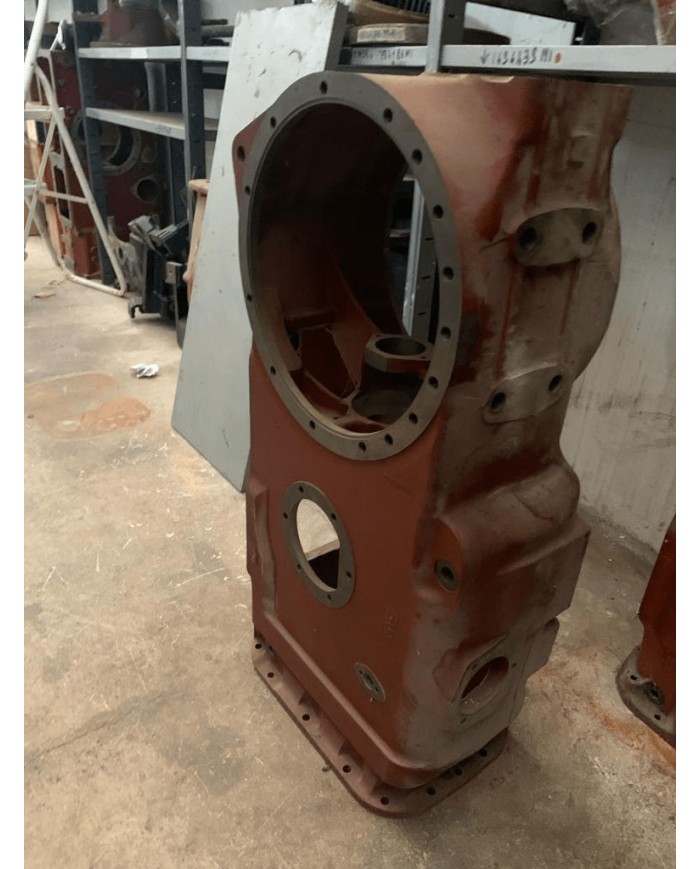 Cassa differenziale 1696439M1 Serie 200/300