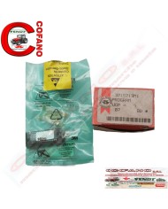 Programma centralina - 3715713M1