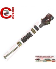 Kit molla stantuffo sollevatore 61743 Massey Ferguson 100/200/300/500/600