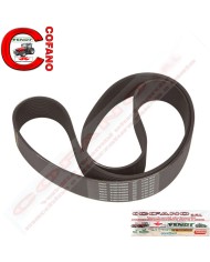 Cinghia Agco Lungh. 1515 mm adattabile Fendt - 916201040200