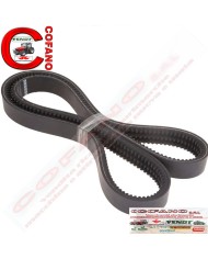 Cinghia Agco La 1480 mm Larg 31x10 mm Adattabile Fendt - X696989501000 Cinghia Agco La 1480 mm Larg 31x10 mm Adattabile Fendt - X696989501000